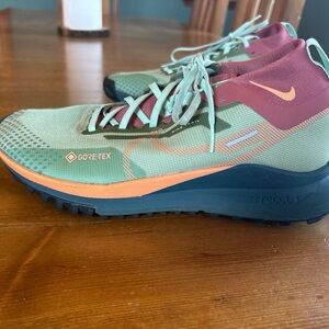 Nike Pegasus trail 4 Gore-Tex Men’s size 9 retail $150